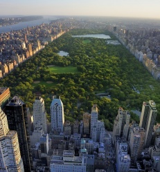 New york (7).